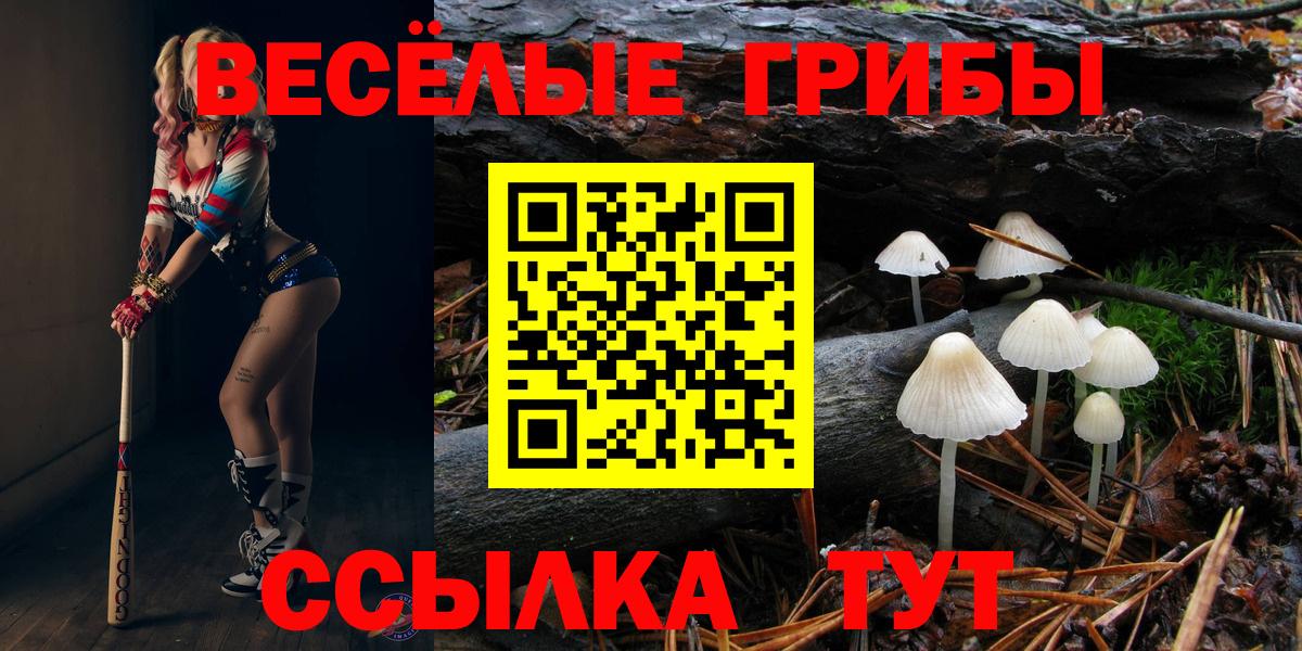 Псилоцибиновые грибы ЛСД Фурманов